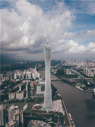 招聘条件 招聘条件